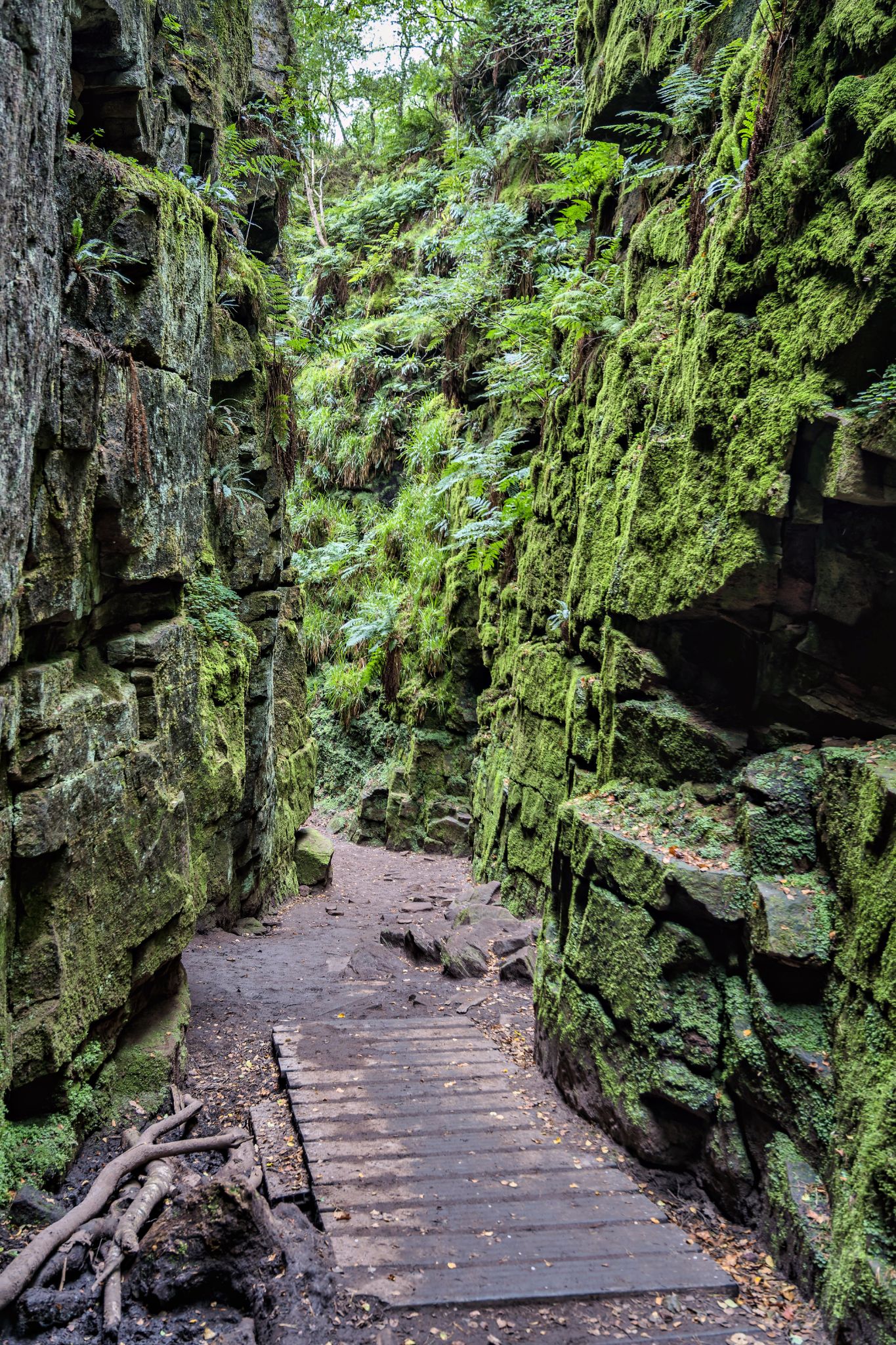 Lud's Church ist eine etwa 100 m lange, bis zu 18 m tiefe, kühle und feuchte Schlucht unter dichtem Baumbewuchs. Im 15. Jahrhundert diente sie vermutlich den verfolgten Lollarden als geheimer Treffpunkt. Der Name soll auf Walter de Lud-Auk zurückgehen, der dort gefasst wurde.